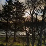 Fitschen Am Dorfteich