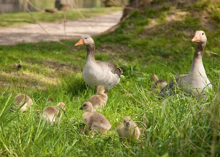 Fitschen Am Dorfteich Отель Веннингштедт